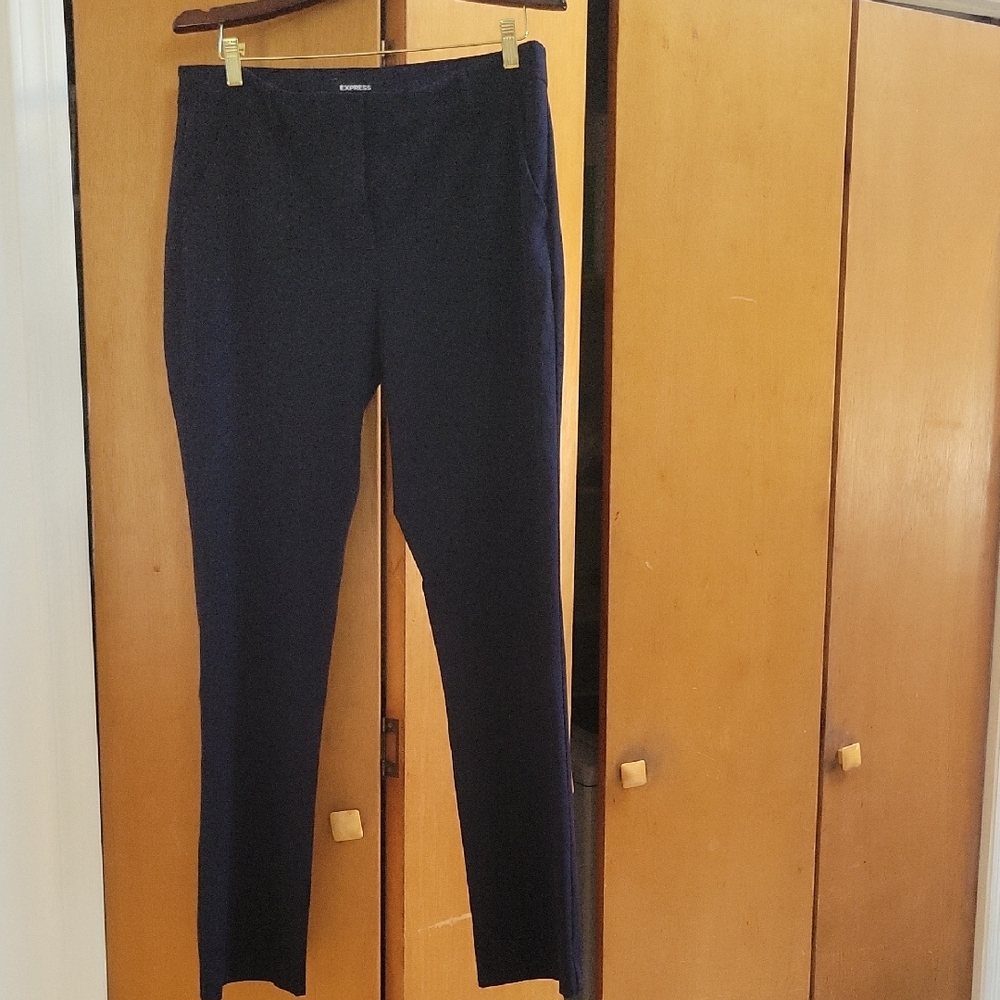 Express Dark Blue Pants